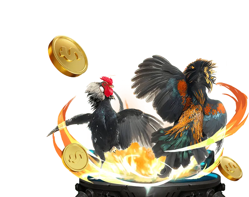 Bảo mật và công bằng tại 77 ball game
